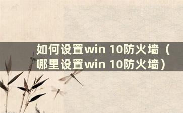 如何设置win 10防火墙（哪里设置win 10防火墙）